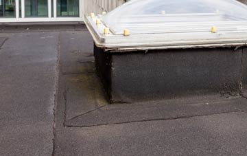 disadvantages of Carthew flat roofs